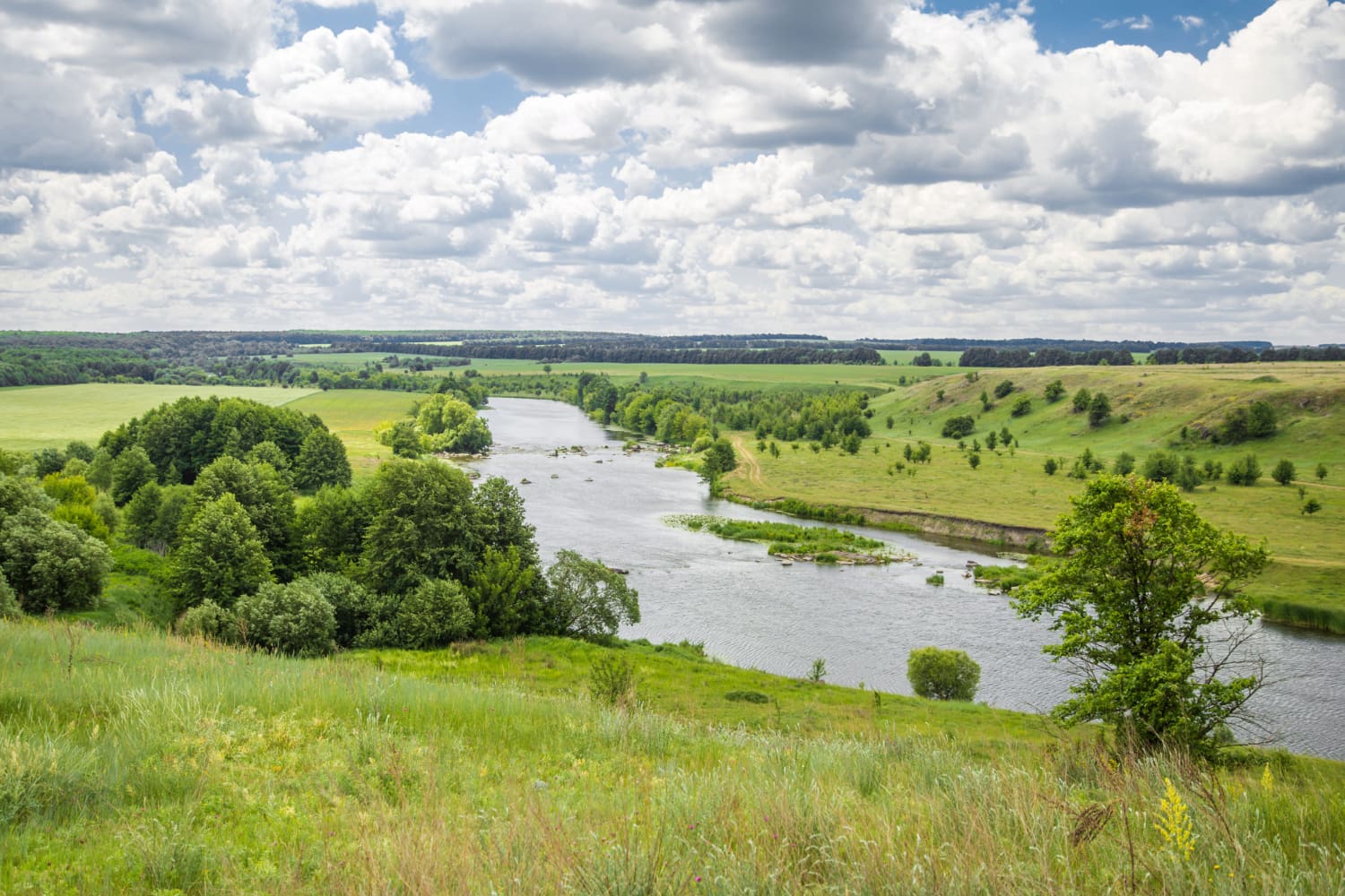 Река Шешма